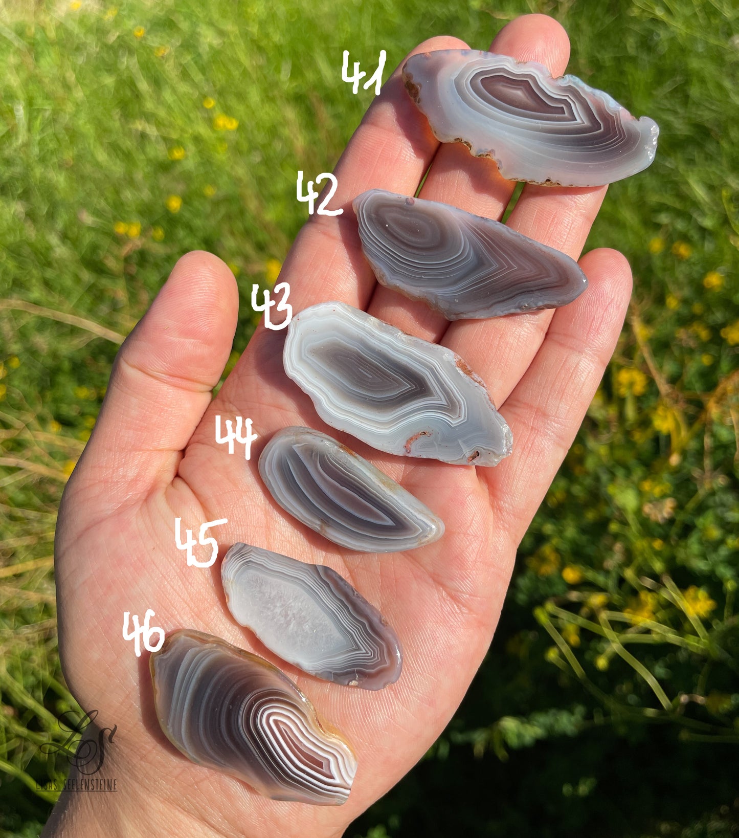 Botswana Achat Scheibensteine poliert Nr.41-46