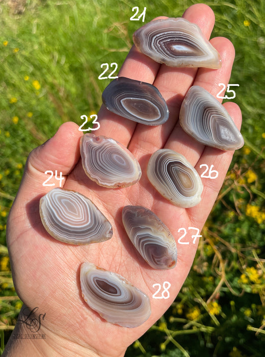 Botswana Achat Scheibenstein poliert Nr.21-28