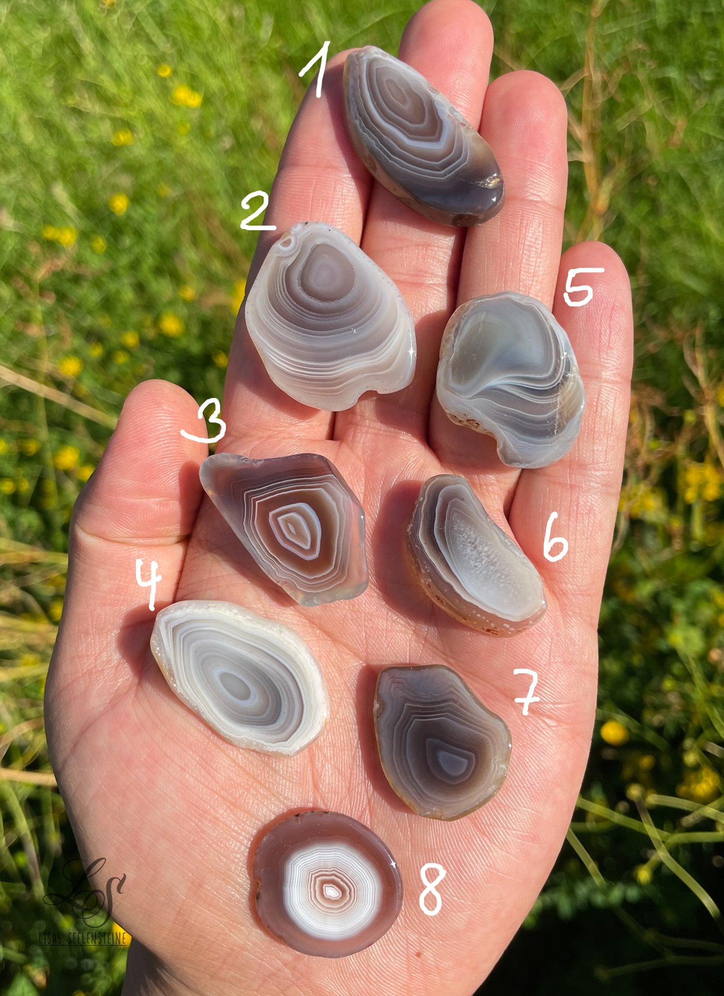 Botswana Achat Scheibenstein poliert Nr.1-8