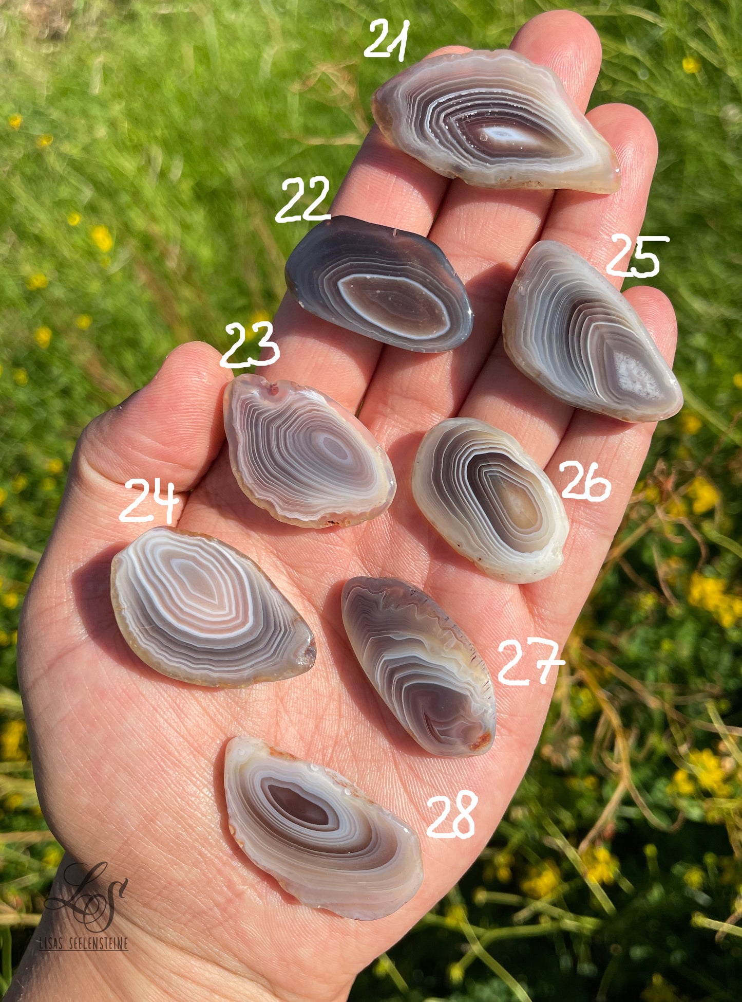 Botswana Achat Scheibenstein poliert Nr.21-28